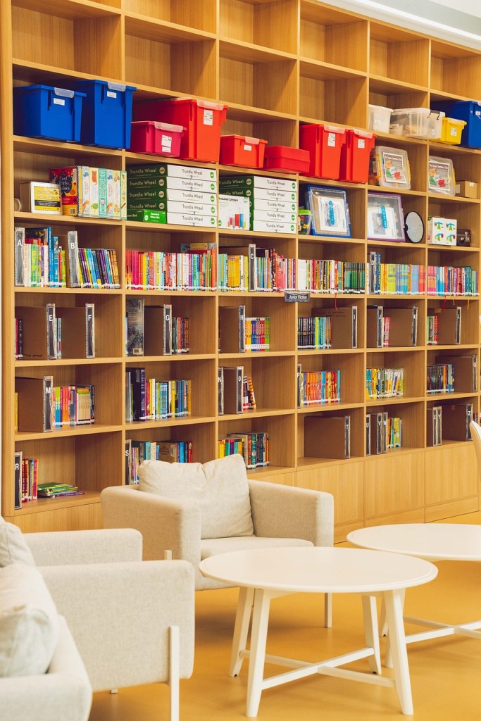 NYFBA-library library, books, knowledge, information, bookshelves, bookshelf, data, college, university, learning, education, study, research, library books, literature, publication, expertise, wisdom, school, student, teaching, reference, chairs, tables, brown school, brown education, brown library, brown learning, brown data, brown study, brown research, brown information, brown studying, brown knowledge, library, library, bookshelves, bookshelves, bookshelves, bookshelves, bookshelves, bookshelf, bookshelf, university, university, teaching, reference